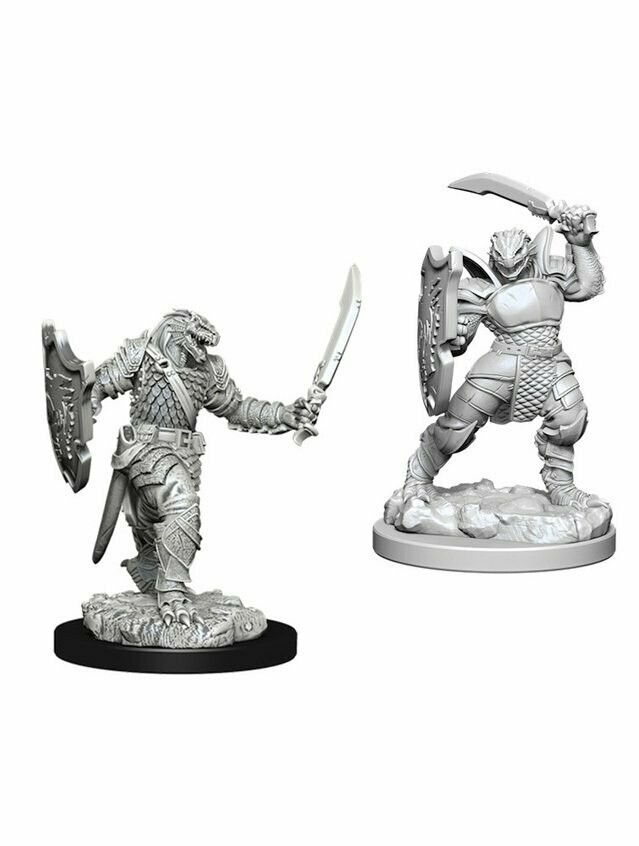Dungeons & Dragons Nolzur's Marvelous Miniatures Dragonborn Female Fighter (Wave 5)