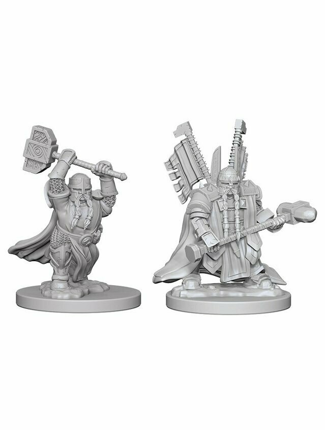 Dungeons & Dragons Nolzur's Marvelous Miniatures Dwarf Male Paladin (Wave 4)
