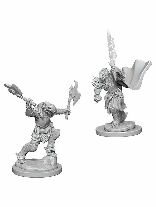 Dungeons & Dragons Nolzur's Marvelous Miniatures Dragonborn Female Fighter (Wave 4)