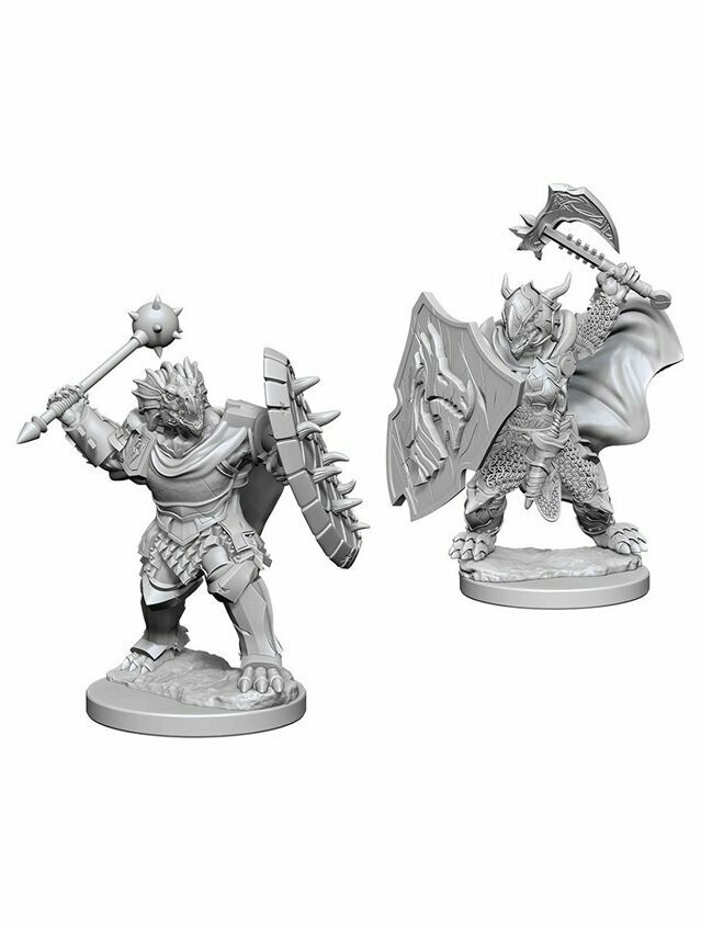 Dungeons & Dragons Nolzur's Marvelous Miniatures Dragonborn Male Paladin (Wave 4)