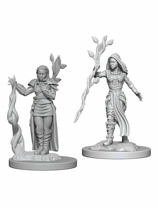 Dungeons & Dragons Nolzur's Marvelous Miniatures Human Female Druid (Wave 2)