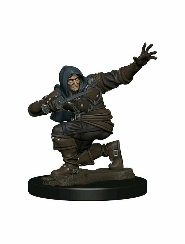 Pathfinder Battles Premium Painted Figure Human Male Rogue (Wave 1)