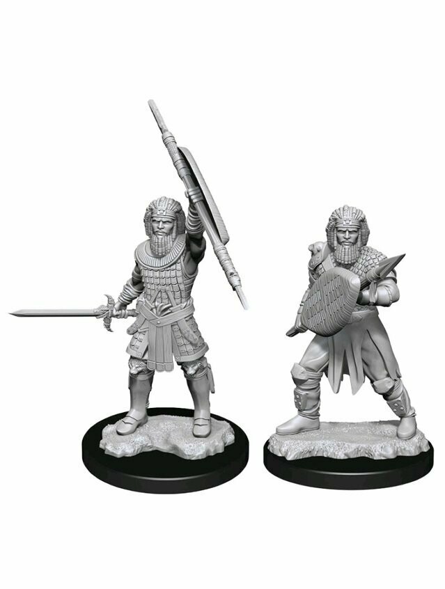 Dungeons & Dragons Nolzur's Marvelous Miniatures Human Male Fighter (Wave 13)