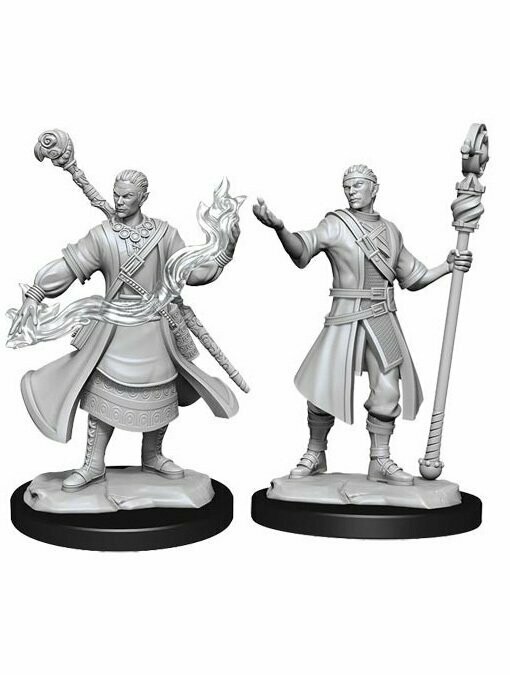 Dungeons & Dragons Nolzur's Marvelous Miniatures Half-Elf Male Wizard (Wave 14)