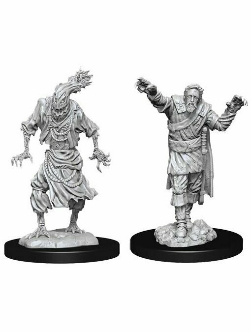 Dungeons & Dragons Nolzur's Marvelous Miniatures Scarecrow & Stone Cursed (Wave 14)