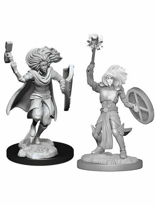 Dungeons & Dragons Nolzur's Marvelous Miniatures Changeling Cleric (Wave 14)