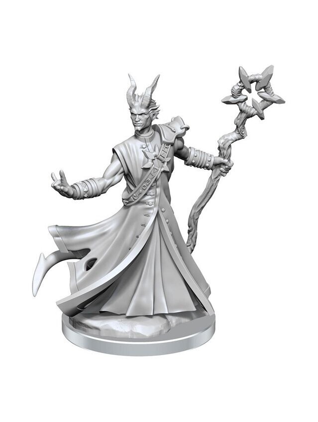 Dungeons & Dragons Frameworks Miniatures Tiefling Male Warlock (Wave 1)