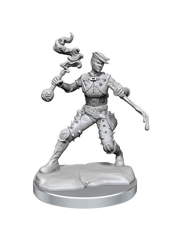 Dungeons & Dragons Frameworks Miniatures Human Female Rogue (Wave 1)