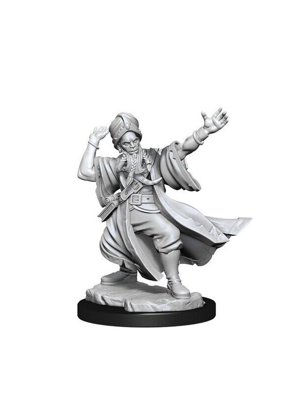 Dungeons & Dragons Frameworks Miniatures Human Male Wizard (Wave 1)