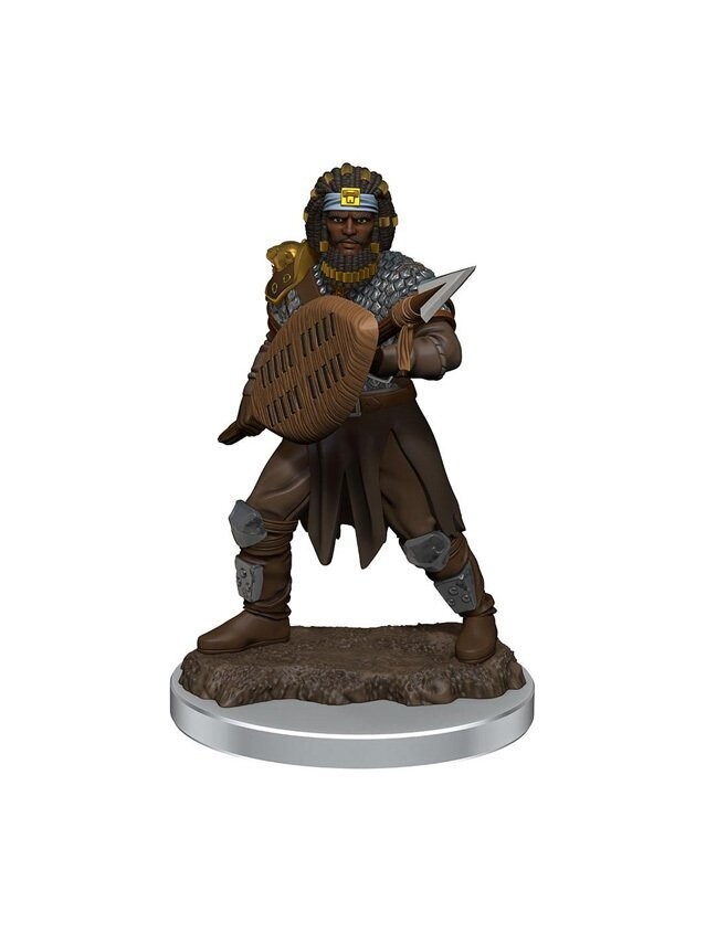 Dungeons & Dragons Icons Of The Realms Premium Figure Human Male Fighter (Wave 7)
