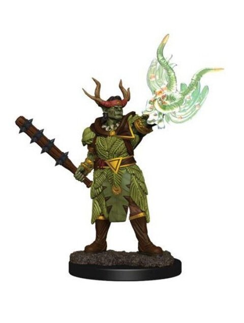 Pathfinder Battles Premium Painted Figure Half-Orc Male Druid (Wave 2)