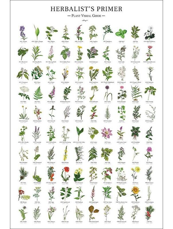 Herbalist's Primer Plant Visual Guide