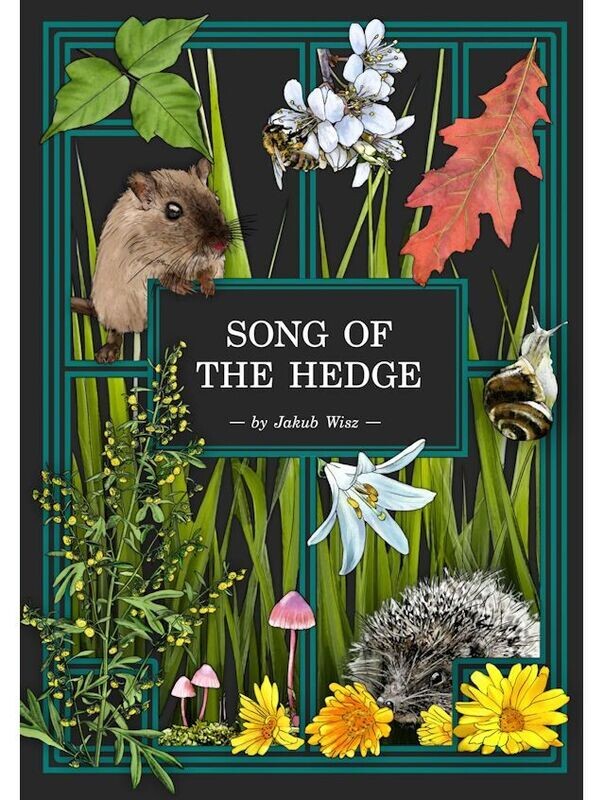 Herbalist's Primer Song Of The Hedge Adventure Zine