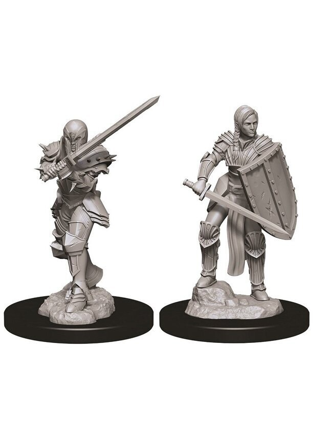 Dungeons & Dragons Nolzur's Marvelous Miniatures Human Female Fighter (Wave 9)