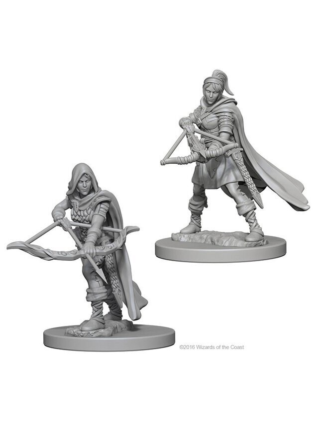 Dungeons & Dragons Nolzur's Marvelous Miniatures Human Female Ranger (Wave 1)