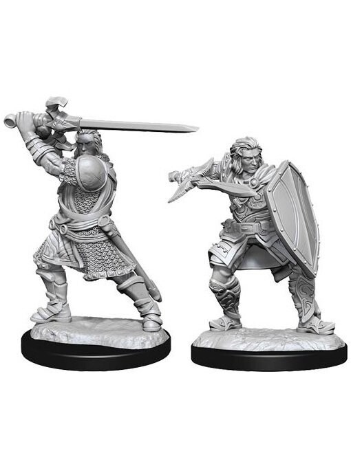 Dungeons & Dragons Nolzur's Marvelous Miniatures Human Male Paladin (Wave 14)