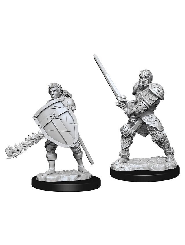 Dungeons & Dragons Nolzur's Marvelous Miniatures Human Male Fighter (Wave 8)