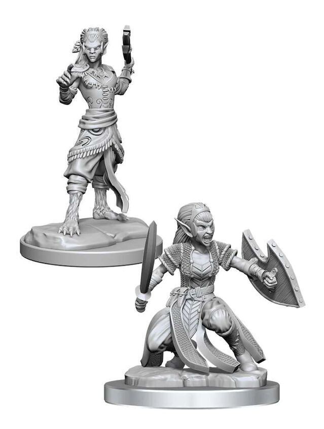 Dungeons & Dragons Nolzur's Marvelous Miniatures Shifter Fighter (Wave 20)