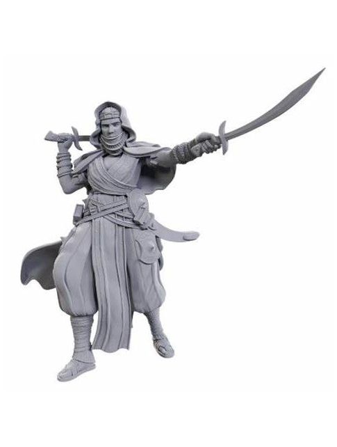 Pathfinder Battles Deep Cuts Unpainted Miniatures Desert Giant (Wave 23)
