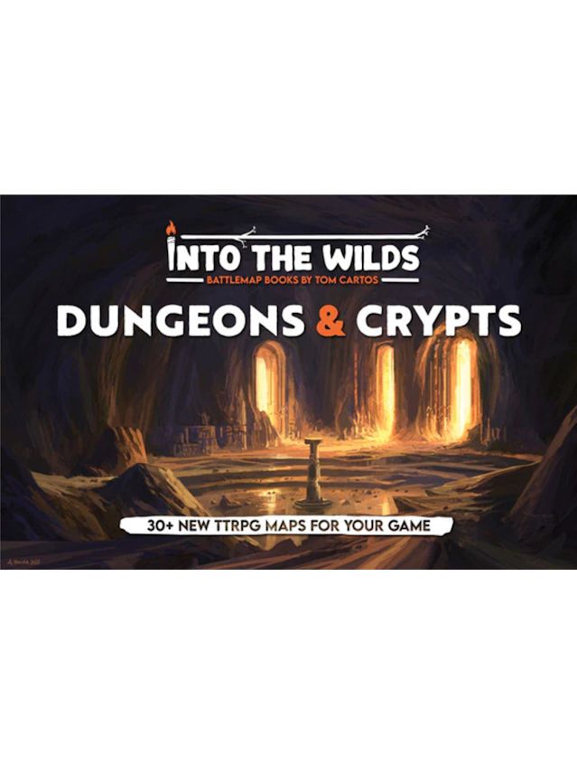 Into The Wilds Battlemap Vol 2 Dungeons And Crypts