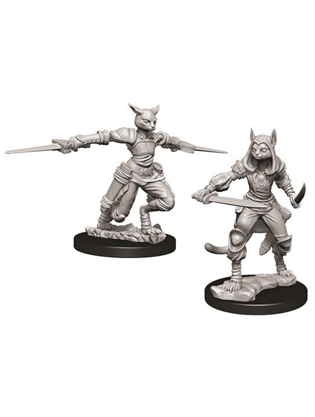 Dungeons & Dragons Nolzur's Marvelous Miniatures Tabaxi Female Rogue (Wave 9)