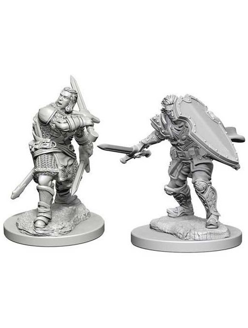 Dungeons & Dragons Nolzur's Marvelous Miniatures Human Male Paladin (Wave 3)