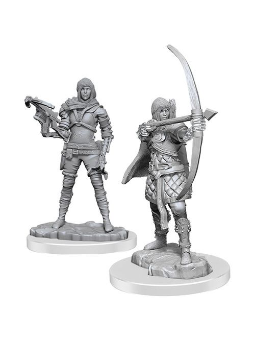 Wizkids Deep Cuts Unpainted Miniatures Human Female Rogue (Wave 13)