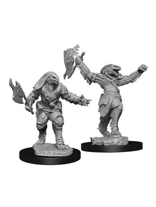 Dungeons & Dragons Nolzur's Marvelous Miniatures Dragonborn Female Fighter (Wave 15)
