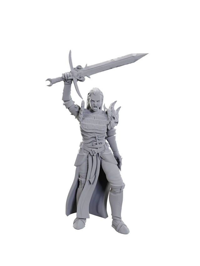 Dungeons & Dragons Nolzur's Marvelous Miniatures Blackguard