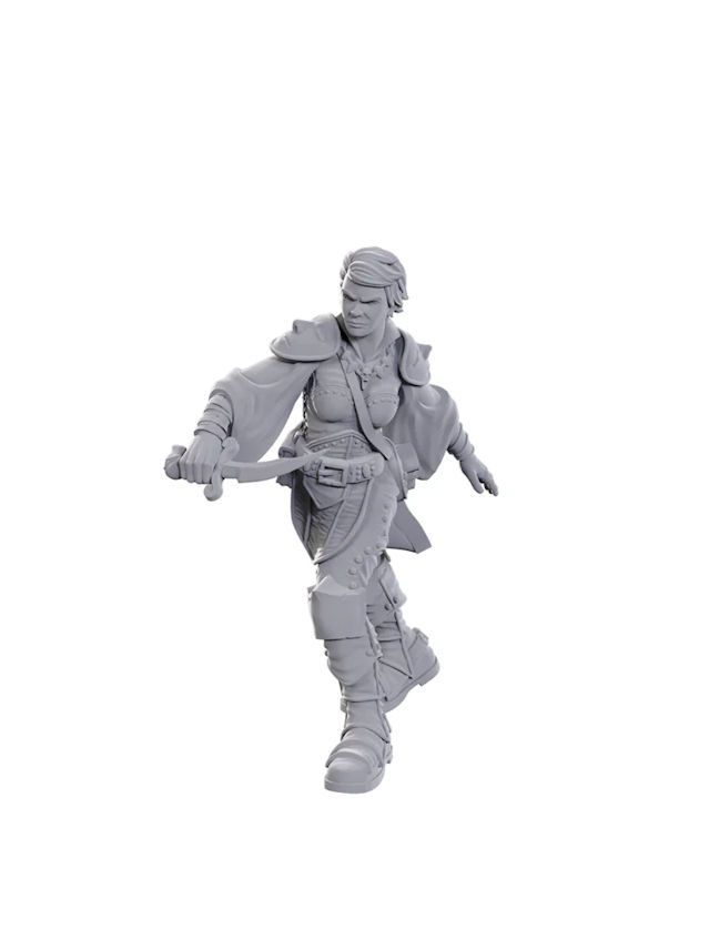Dungeons & Dragons Nolzur's Marvelous Miniatures Swashbuckler