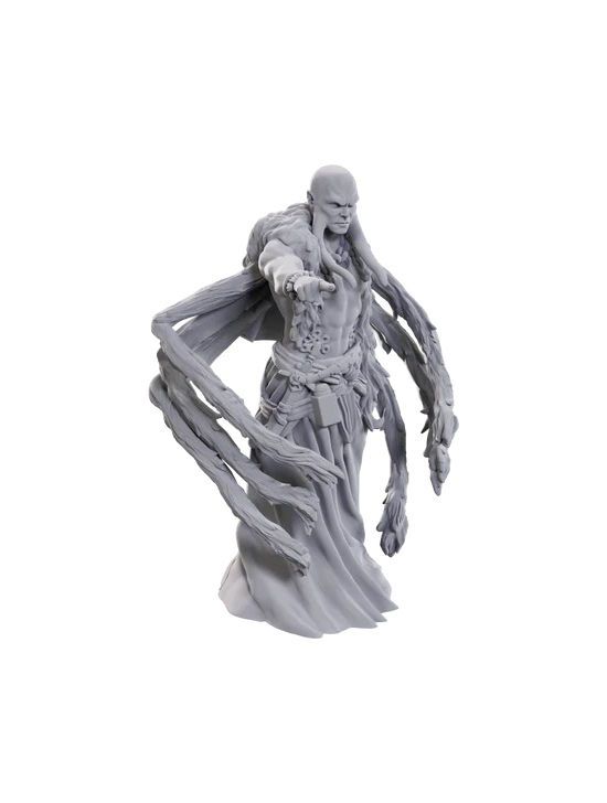 Dungeons & Dragons Nolzur's Marvelous Miniatures Kraken Priest (Wave 24)