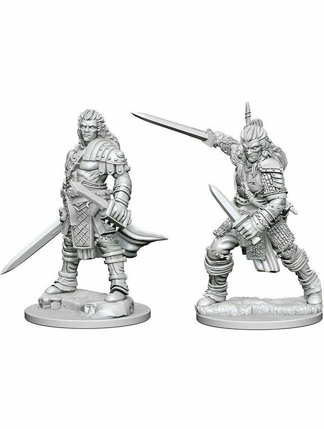 Pathfinder Battles Deep Cuts Unpainted Miniatures Human Male Fighter (Wave 1)