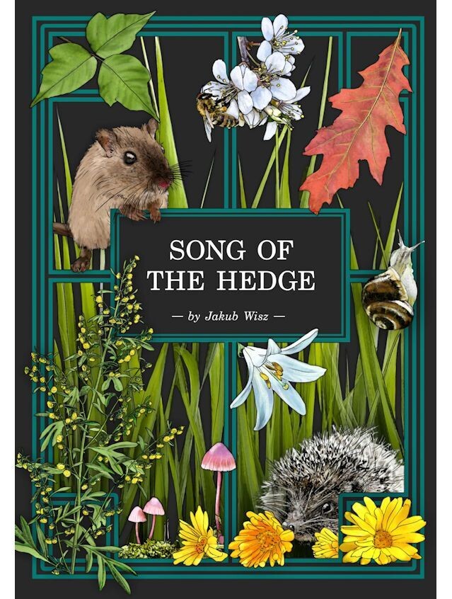 Herbalist's Primer Song Of The Hedge Adventure Zine Herbalist's Primer Song Of The Hedge Adventure Zine