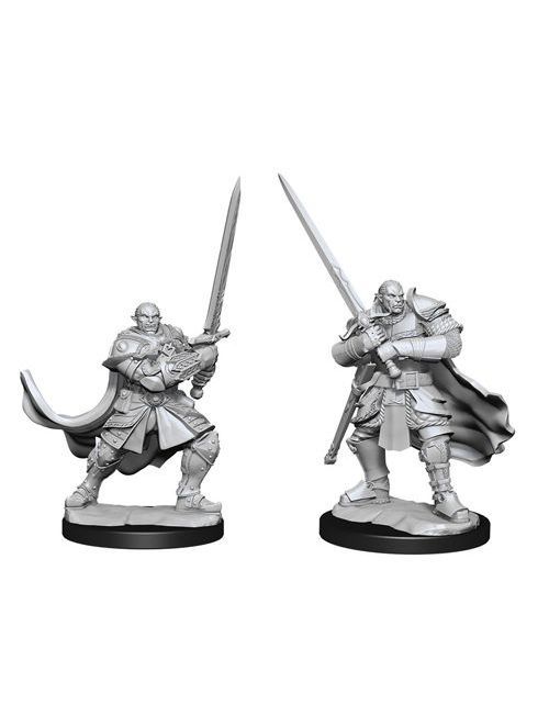 Dungeons & Dragons Nolzur's Marvelous Miniatures Half-Orc Male Paladin (Wave 15) Dungeons & Dragons Nolzur's Marvelous Miniatures Half-Orc Male Paladin (Wave 15)