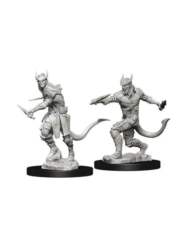 Dungeons & Dragons Nolzur's Marvelous Miniatures Tiefling Male Rogue (Wave 5) Dungeons & Dragons Nolzur's Marvelous Miniatures Tiefling Male Rogue (Wave 5)