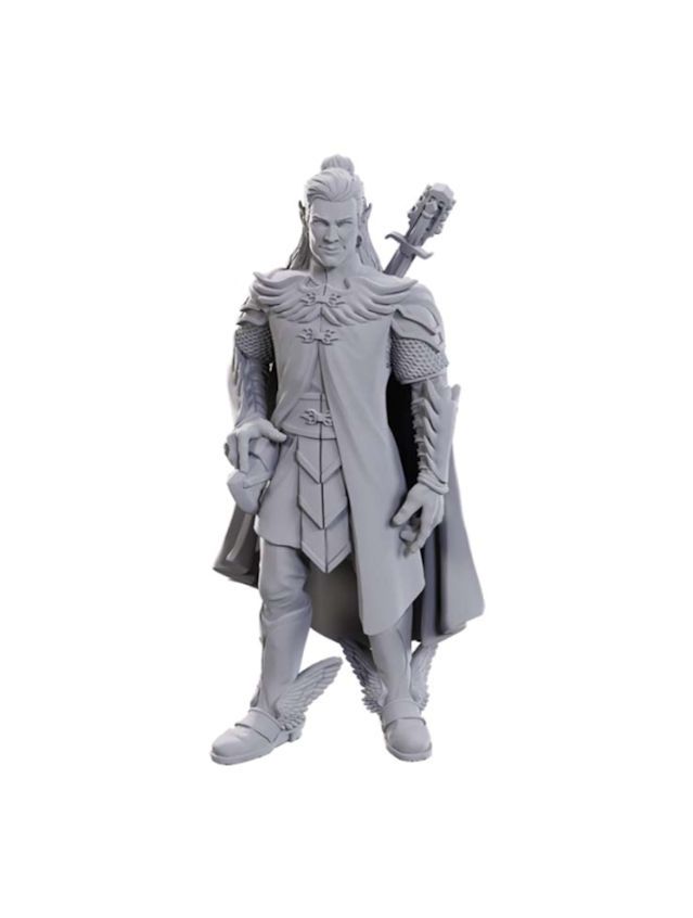 Critical Role Unpainted Miniatures Dorian Storm (Wave 23)