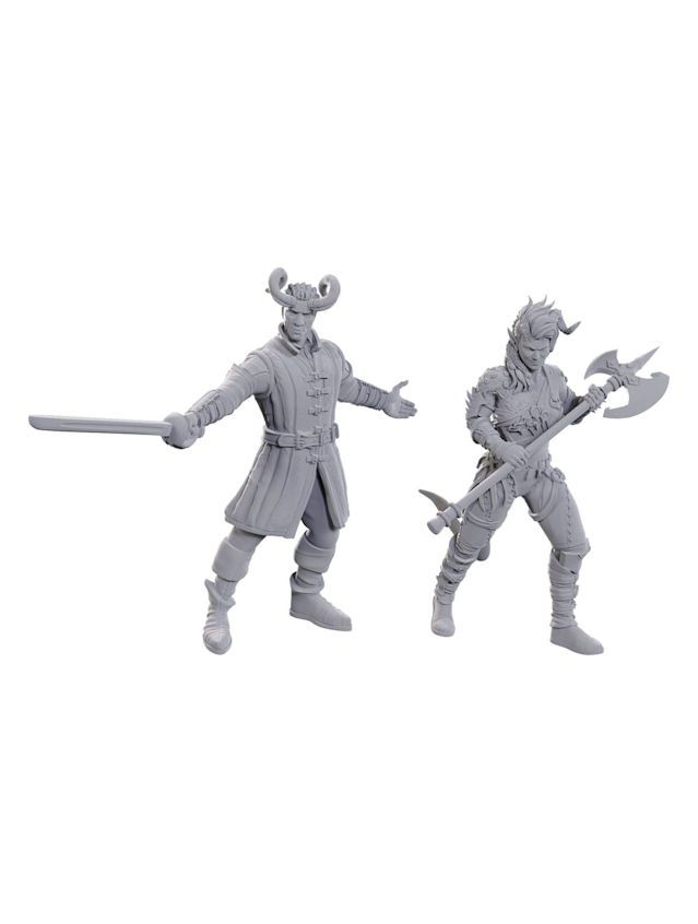 Dungeons & Dragons Nolzur's Marvelous Miniatures Wyll & Karlach (Special Edition Baldur's Gate 3) Dungeons & Dragons Nolzur's Marvelous Miniatures Wyll & Karlach (Special Edition Baldur's Gate 3)