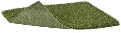 Putting Turf