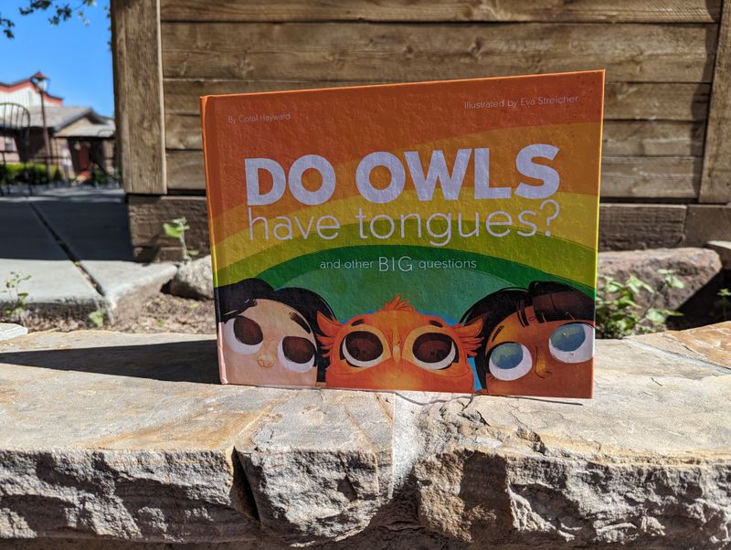 Do Owls Have Tongues? And Other Big Questions
