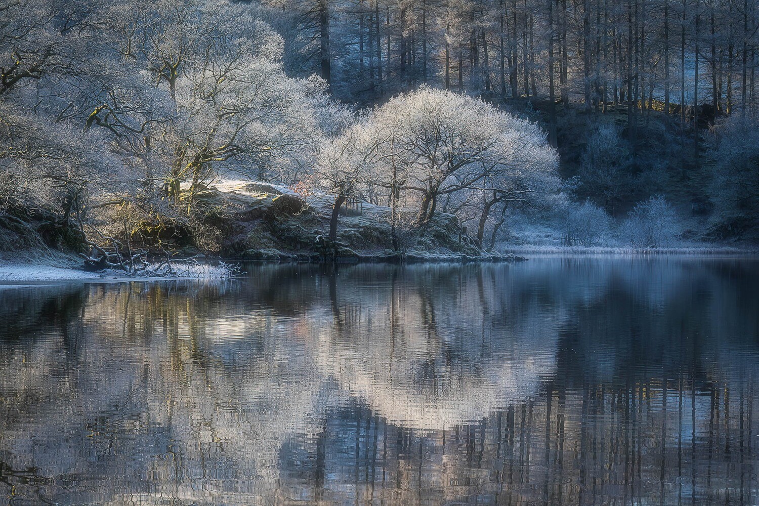 Frosty reflections