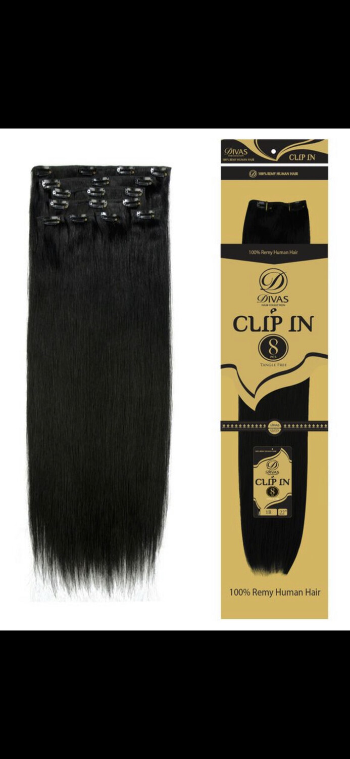 Remy Human Hair