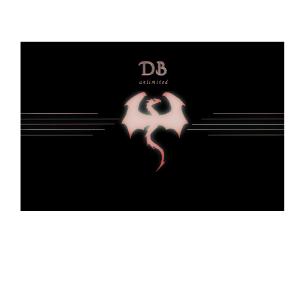 DB unlimited LLC