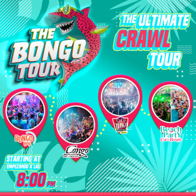 THE BONGO TOUR