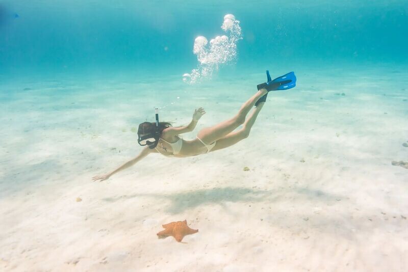 Cozumel Snorkel Tour & El Cielo Sandbar