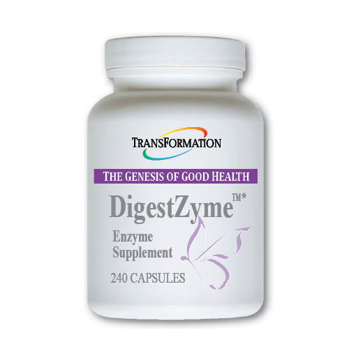DigestZyme (240 Capsules)