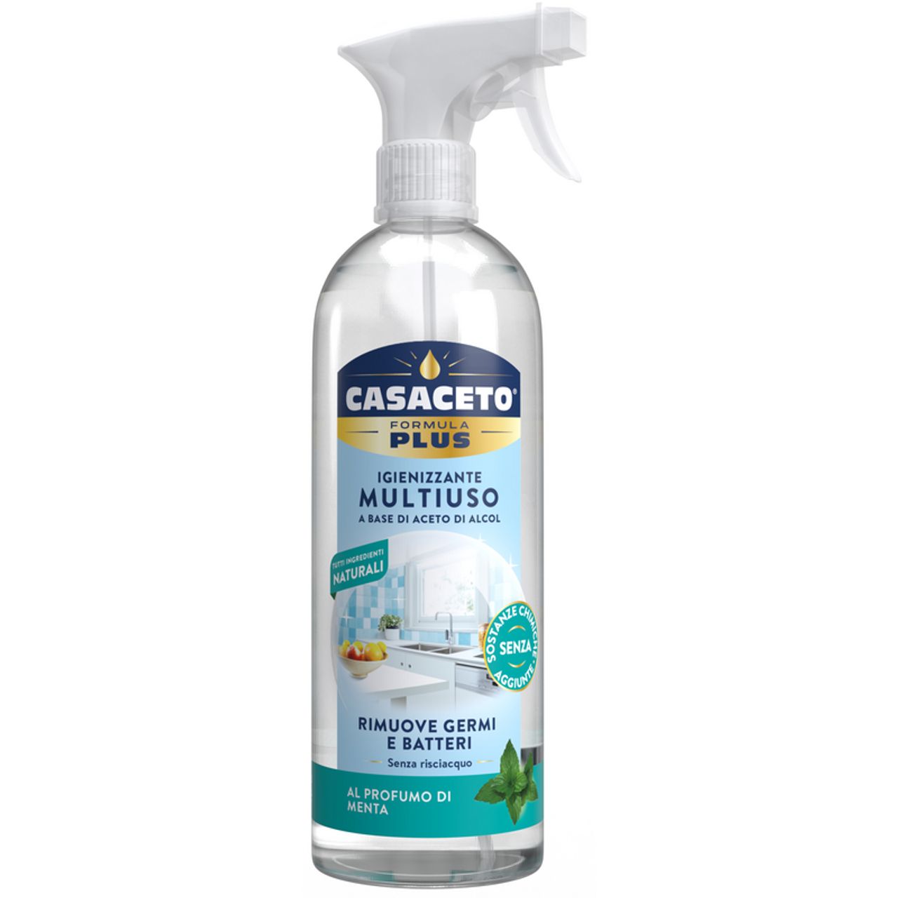 CASACETO PLUS SPR. MULTIUSO 750ML MENTA