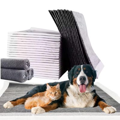 TAPPET TAPPETINI CARBONE ANIMALI 60X90 X7