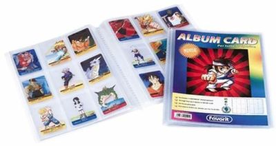 ALBUM CARDS 22X30CM 10 BUSTE 90POSTI