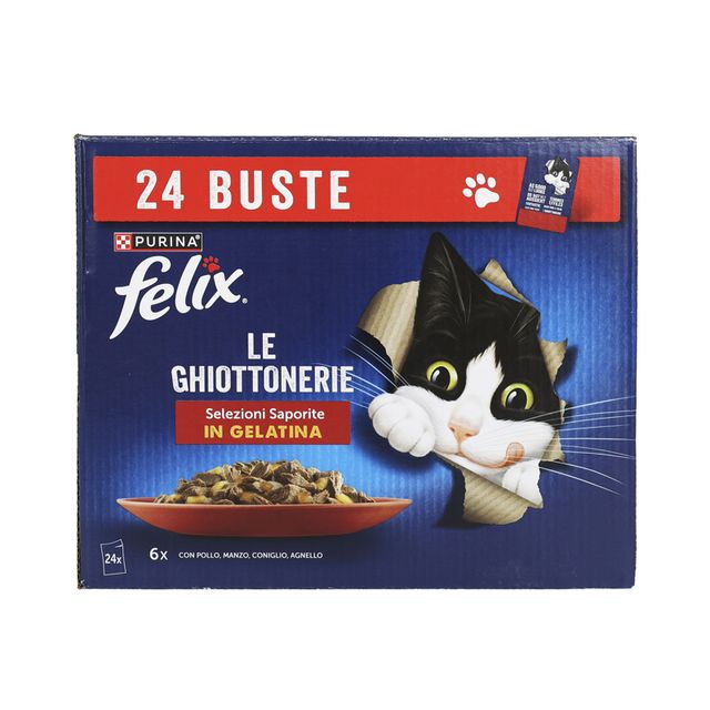 FELIX LE GHIOTT.g85x24busPOL-MAN-CON-AGN