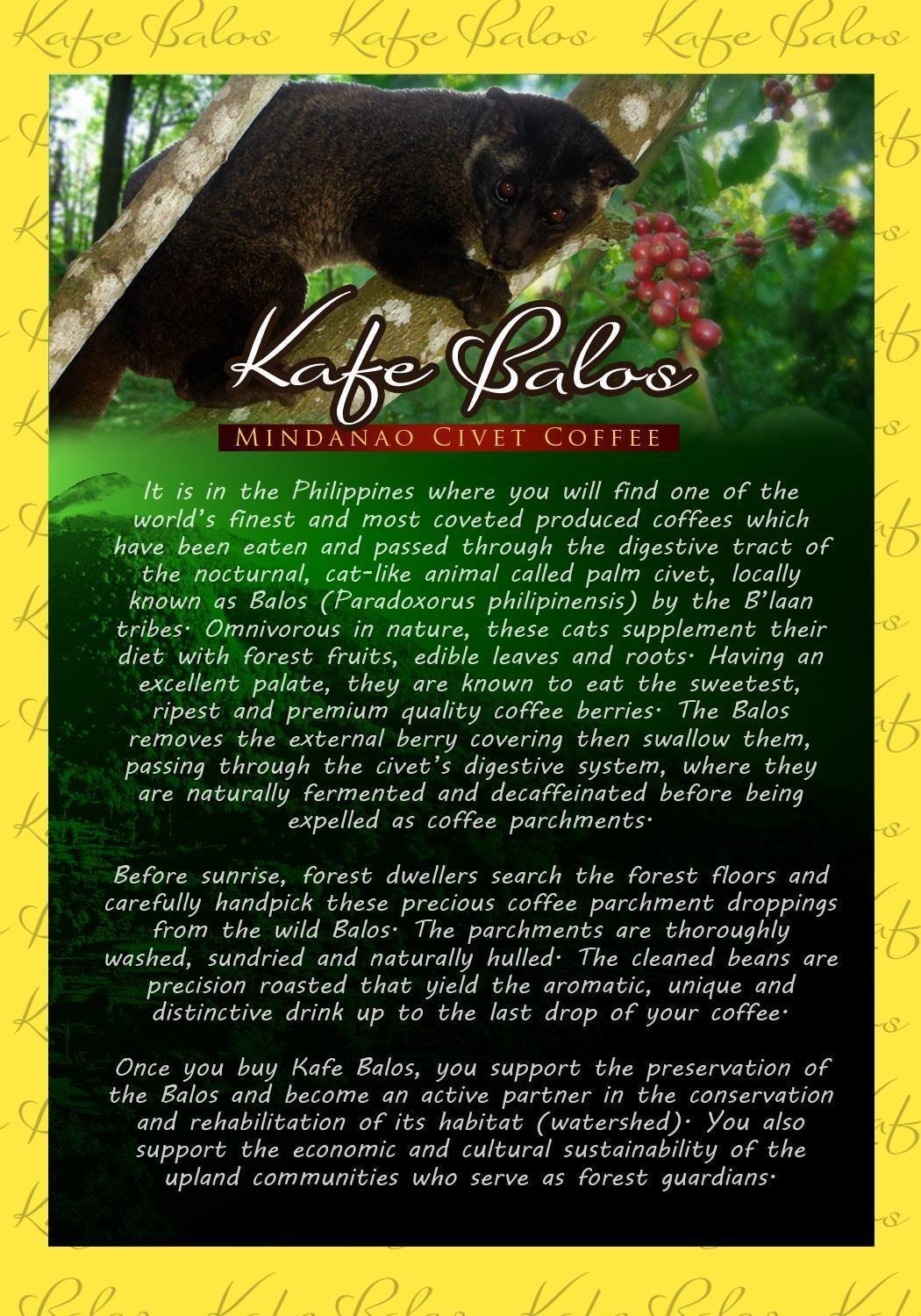 Kafe Balos Wild Organic Civet Coffee (Kopi Luwak) per 100g
